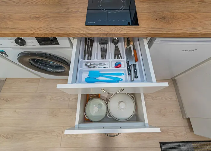 Partizanu #1 By Polo Kaunas